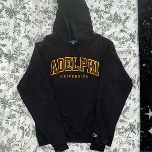 Adelphi University Hoodie